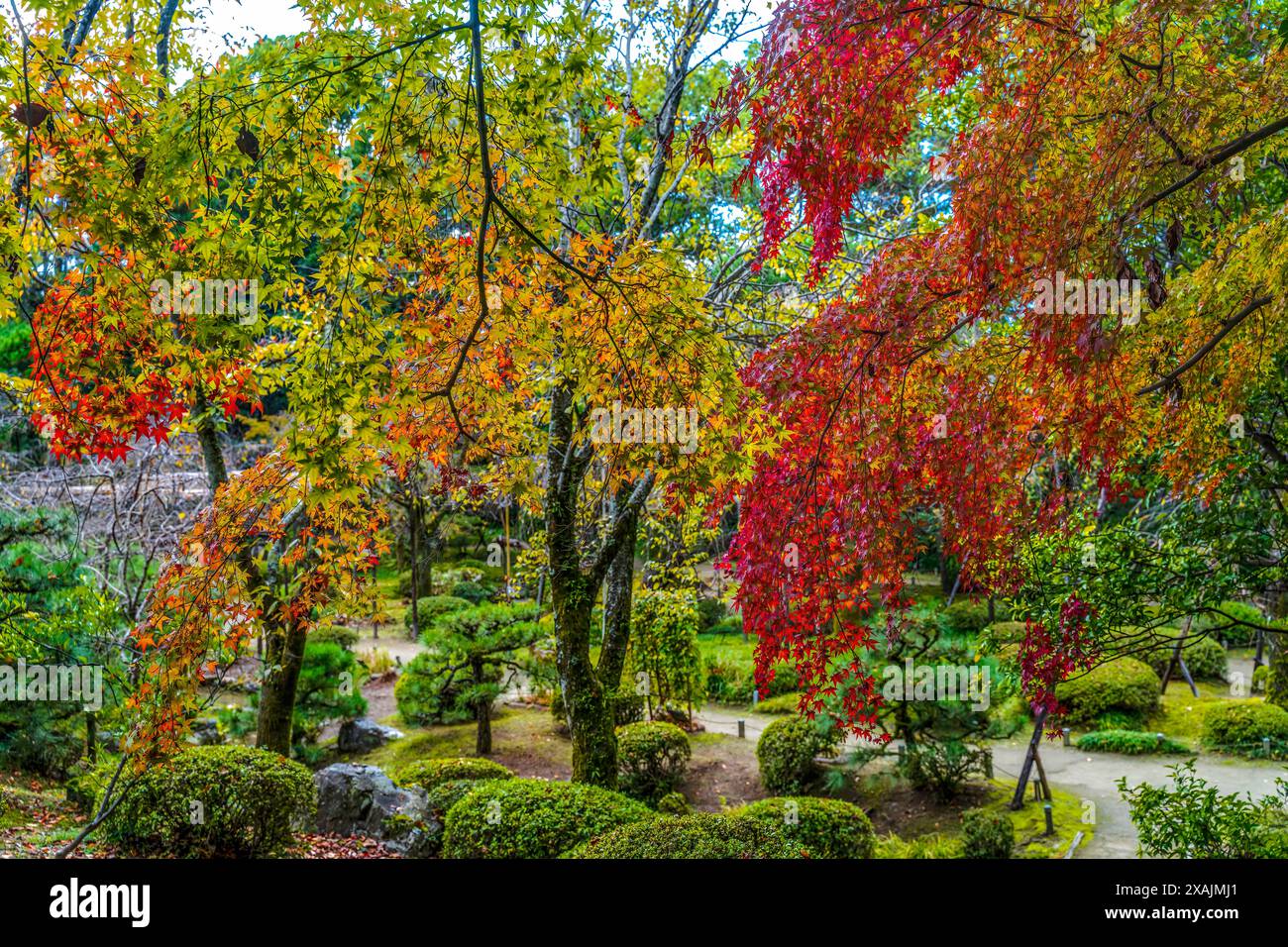 Colorato autunno foglie East Garden Heian Shinto Shrine Kyoto Jap Foto Stock