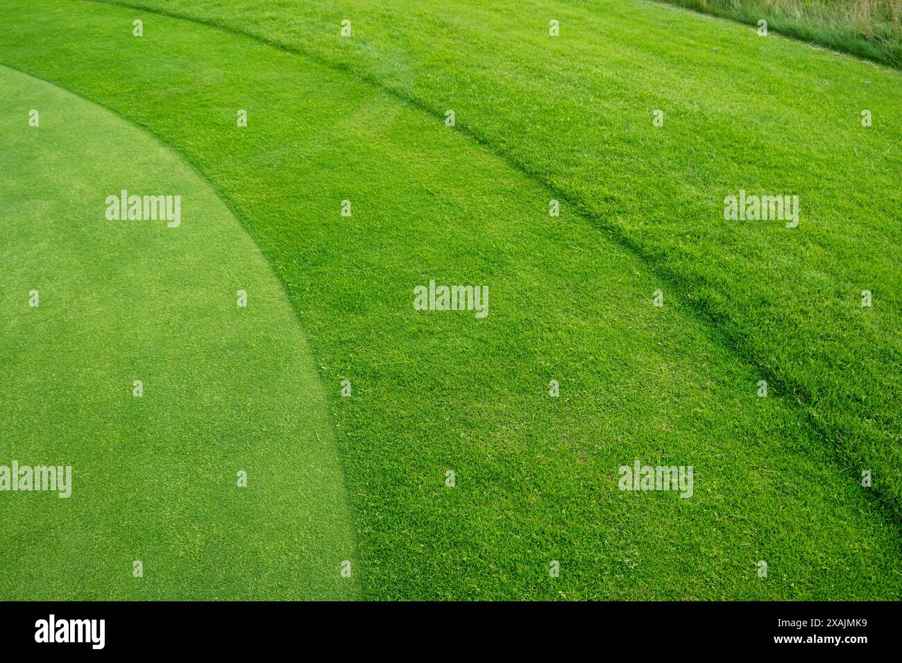 Tre diversi livelli di taglio: Erba da golf, putting green, GC Oststeinbek, Schleswig-Holstein, Germania Foto Stock