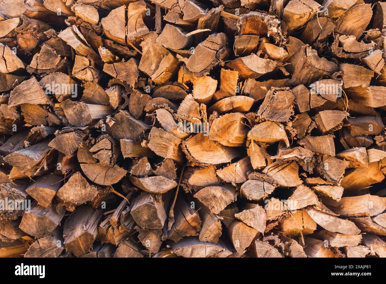 trama sfondo di legna bruna impilata in una giornata di sole nella foresta Foto Stock