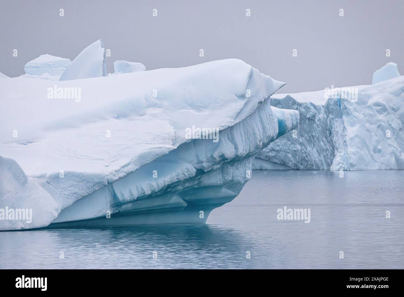 Iceberg nell'Oceano Antartico al largo della Penisola Antartica Foto Stock