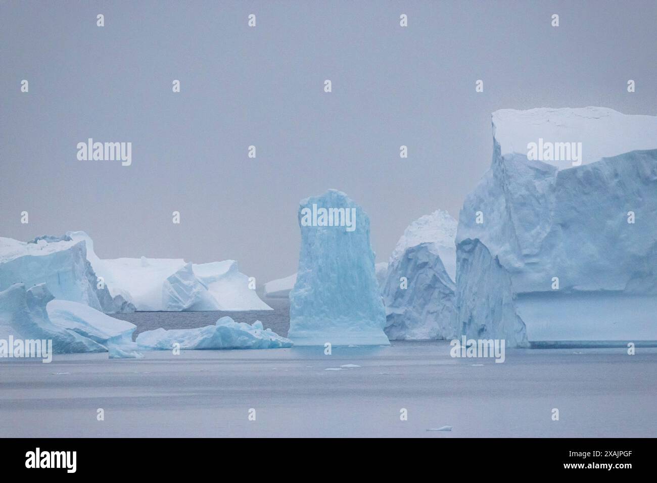 Iceberg nell'Oceano Antartico al largo della Penisola Antartica Foto Stock