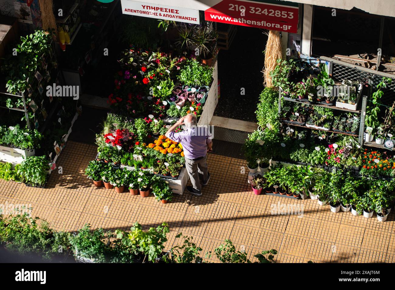 Scena di strada di prima mattina, Atene, Grecia Foto Stock