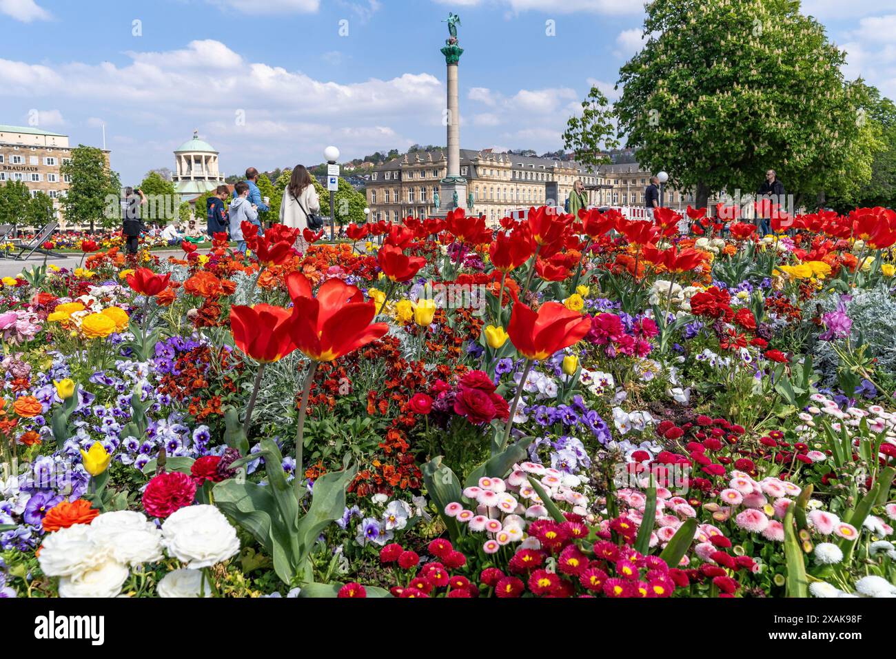 Europa, Germania, Baden-Württemberg, Stoccarda, Schlossplatz, colorato letto di fiori di fronte alla colonna del Giubileo e al Palazzo nuovo Foto Stock