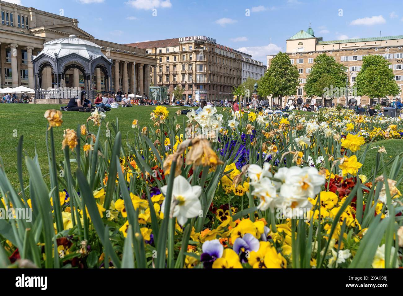 Europa, Germania, Baden-Württemberg, Stoccarda, Schlossplatz, ammira attraverso i fiori colorati i passaggi Königsbau e l'edificio Marquardt su Schlossplatz Foto Stock