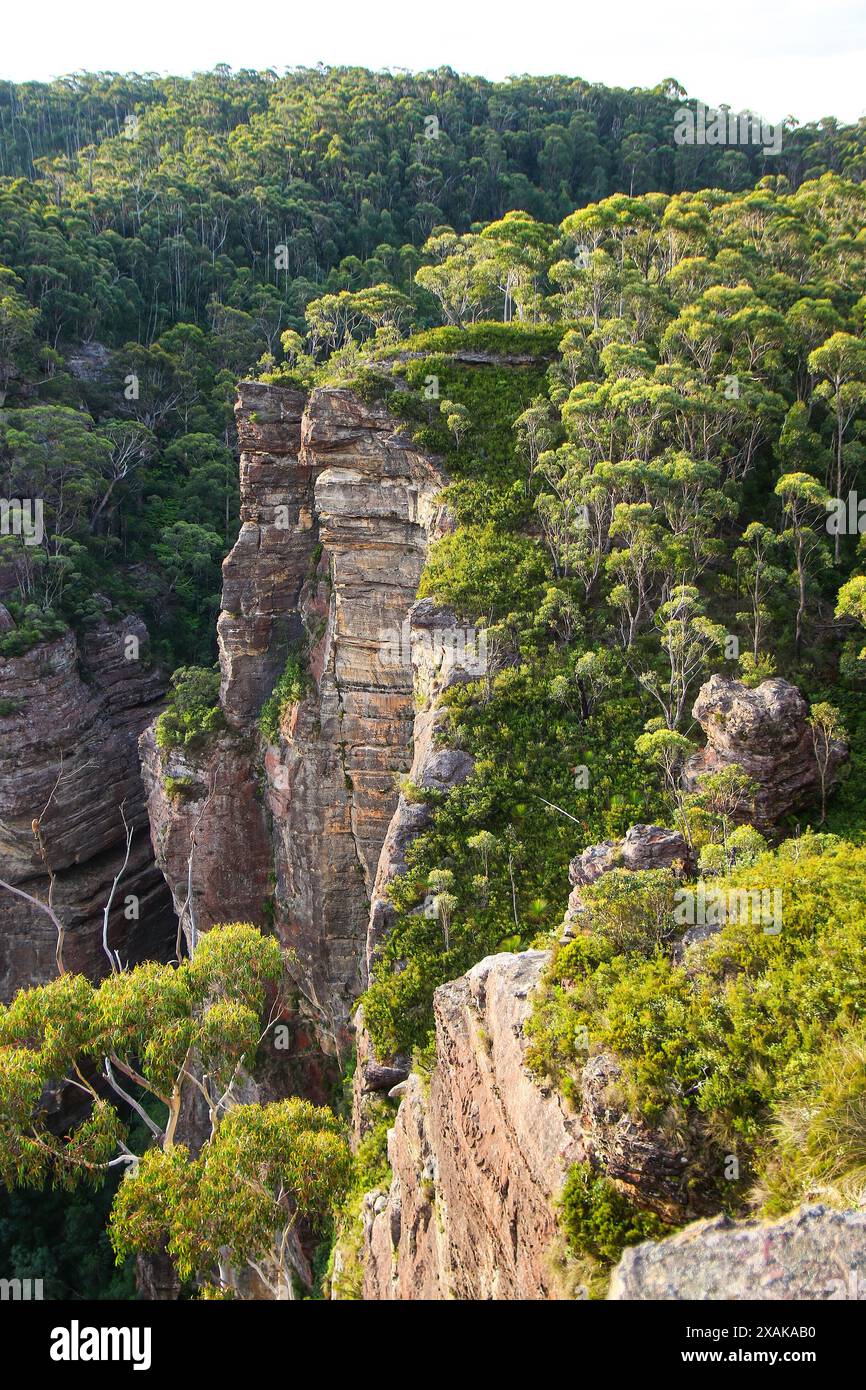 Ammira le scogliere e le lussureggianti valli del Blue Mountains National Park dal Pulpit Rock Lookout nel New South Wales, Australia Foto Stock