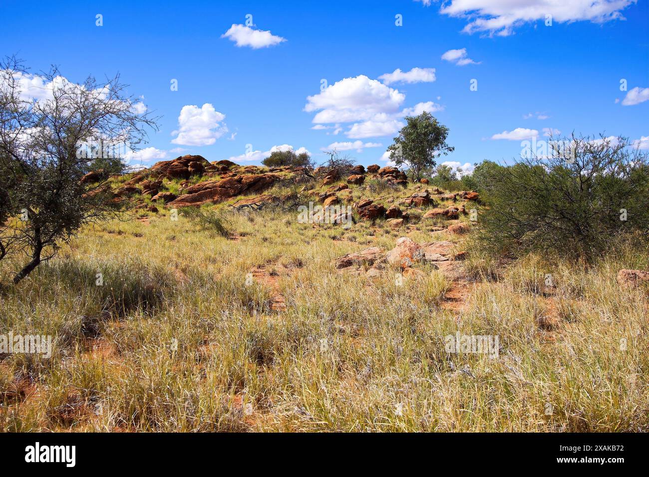 Paesaggio boshy nella Alice Springs Telegraph Station Historical Reserve nel Red Centre of Australia, che collega Darwin ad Adelaide tramite Overla Foto Stock
