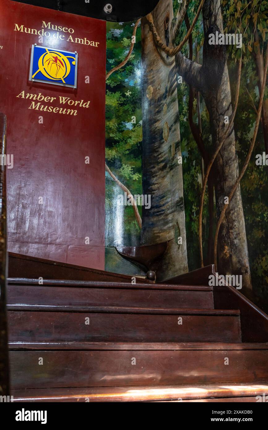 Nord America, Caraibi, grandi Antille, isola di Hispaniola, Repubblica Dominicana, Santo Domingo, zona Colonial, Museo dell'ambra nella zona Colonial Foto Stock