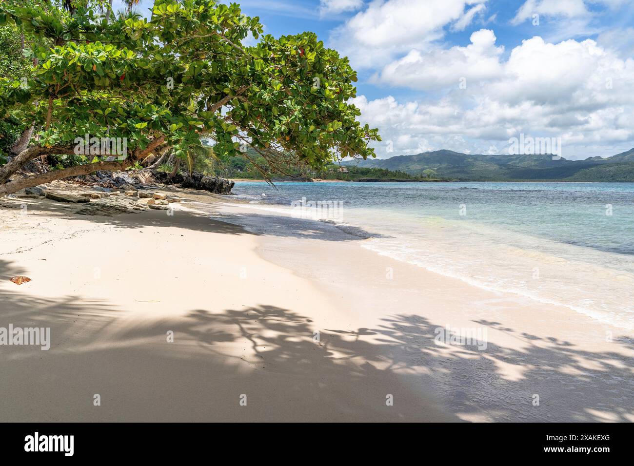 Nord America, Caraibi, grandi Antille, isola di Hispaniola, Repubblica Dominicana, Samana Peninsula, Las Galeras, Playa Escondida vicino a Las Galeras Foto Stock