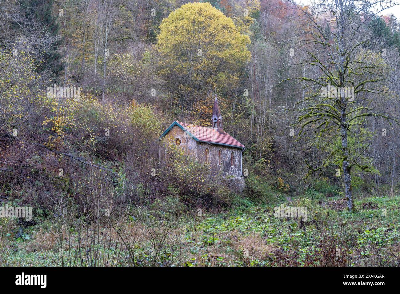 Europa, Germania, Baden-Württemberg, Foresta Nera, Parco naturale della Foresta Nera meridionale, Schluchtensteig, cappella storica nell'ex Bad Boll nella Gola di Wutach Foto Stock