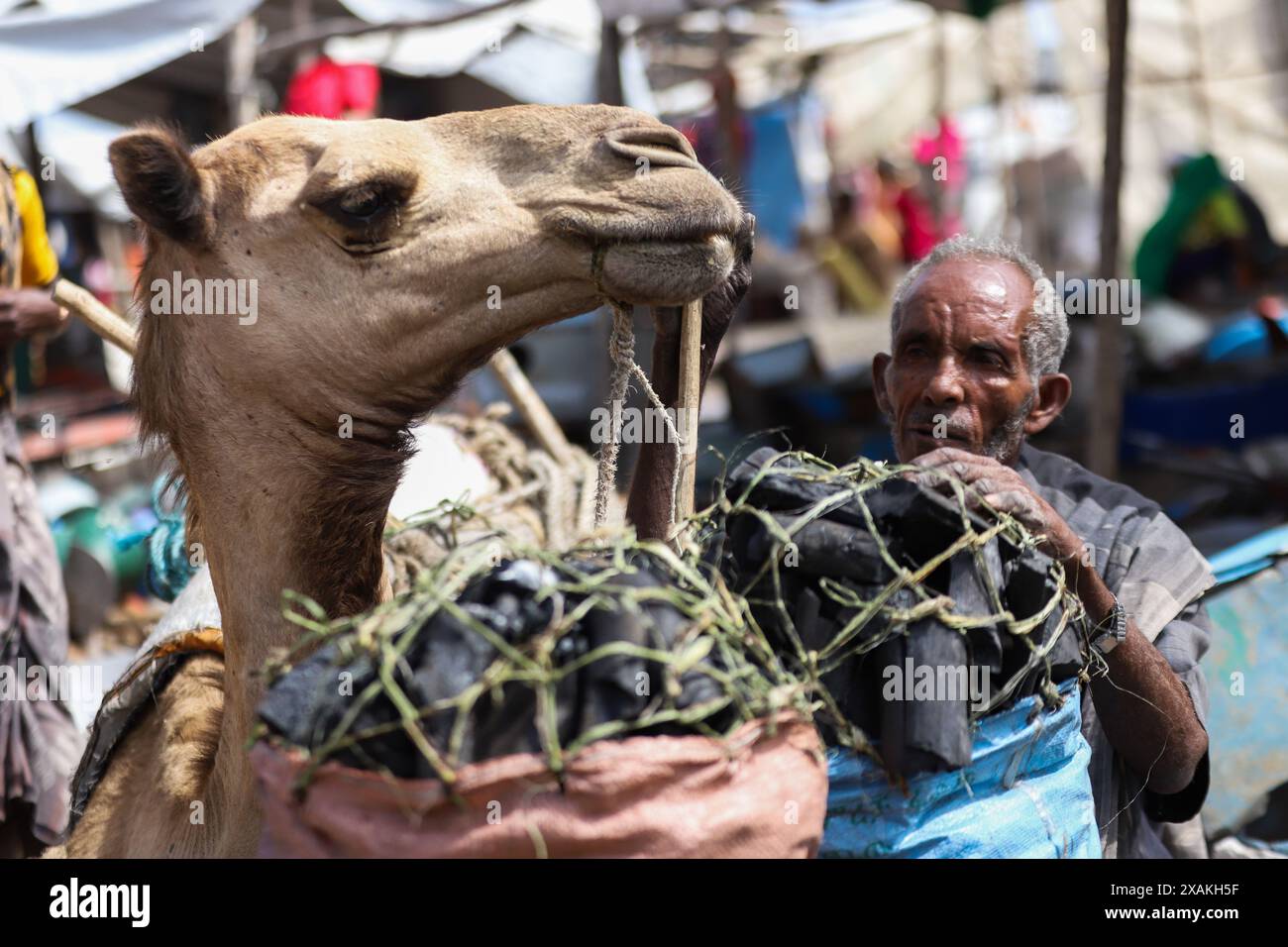 Addis Abeba. 27 maggio 2024. Un cammello si vede trasportare merci in un mercato a Bati, Etiopia, il 27 maggio 2024. Crediti: Michael Tewelde/Xinhua/Alamy Live News Foto Stock