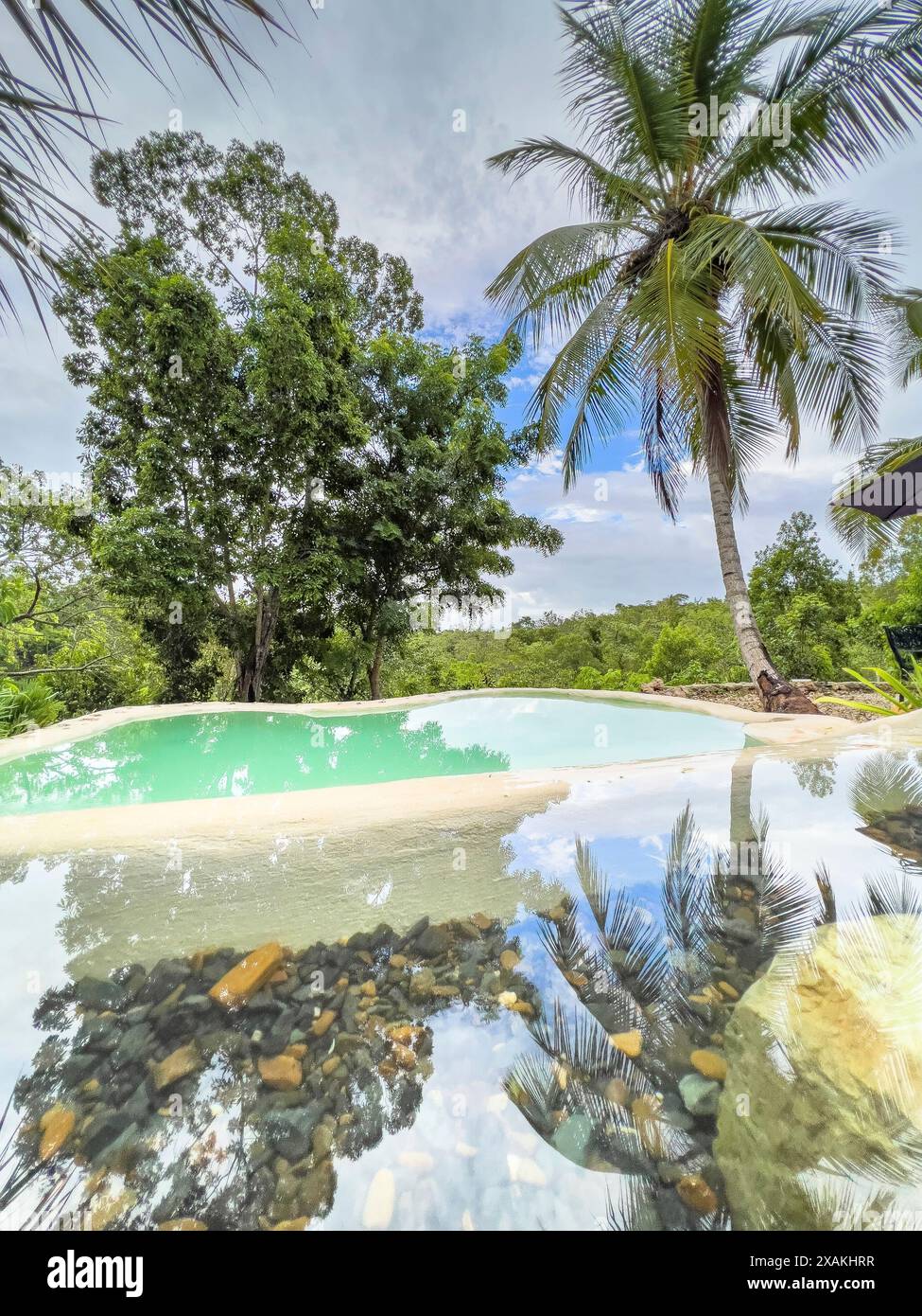 Nord America, Caraibi, grandi Antille, isola di Hispaniola, Repubblica Dominicana, la Provincia di la Altagracia, la Romana, vista della piscina nel giardino tropicale della Eco River House Glamping Foto Stock