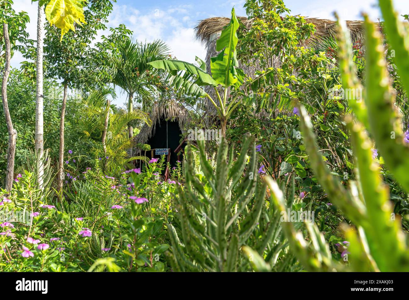 Nord America, Caraibi, grandi Antille, isola di Hispaniola, Repubblica Dominicana, provincia di la Altagracia, Bayahibe, GuaiGüi Ecolodge vicino a Bayahibe Foto Stock