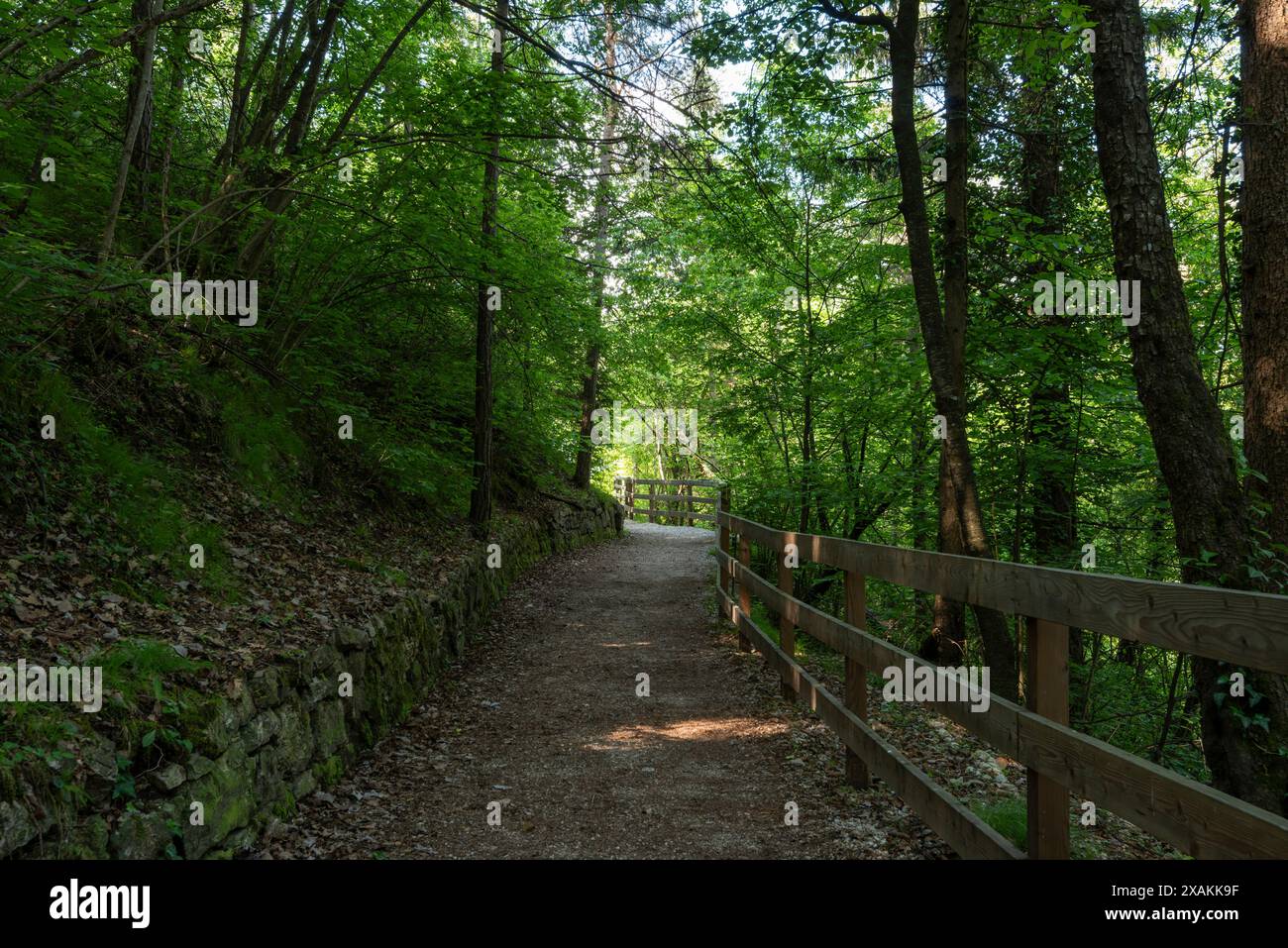 La parte iniziale del sentiero che conduce al santuario di San Romedio. Europa, Italia, Trentino alto Adige, non valle, provincia di Trento, Sanzeno, San Romedio Foto Stock