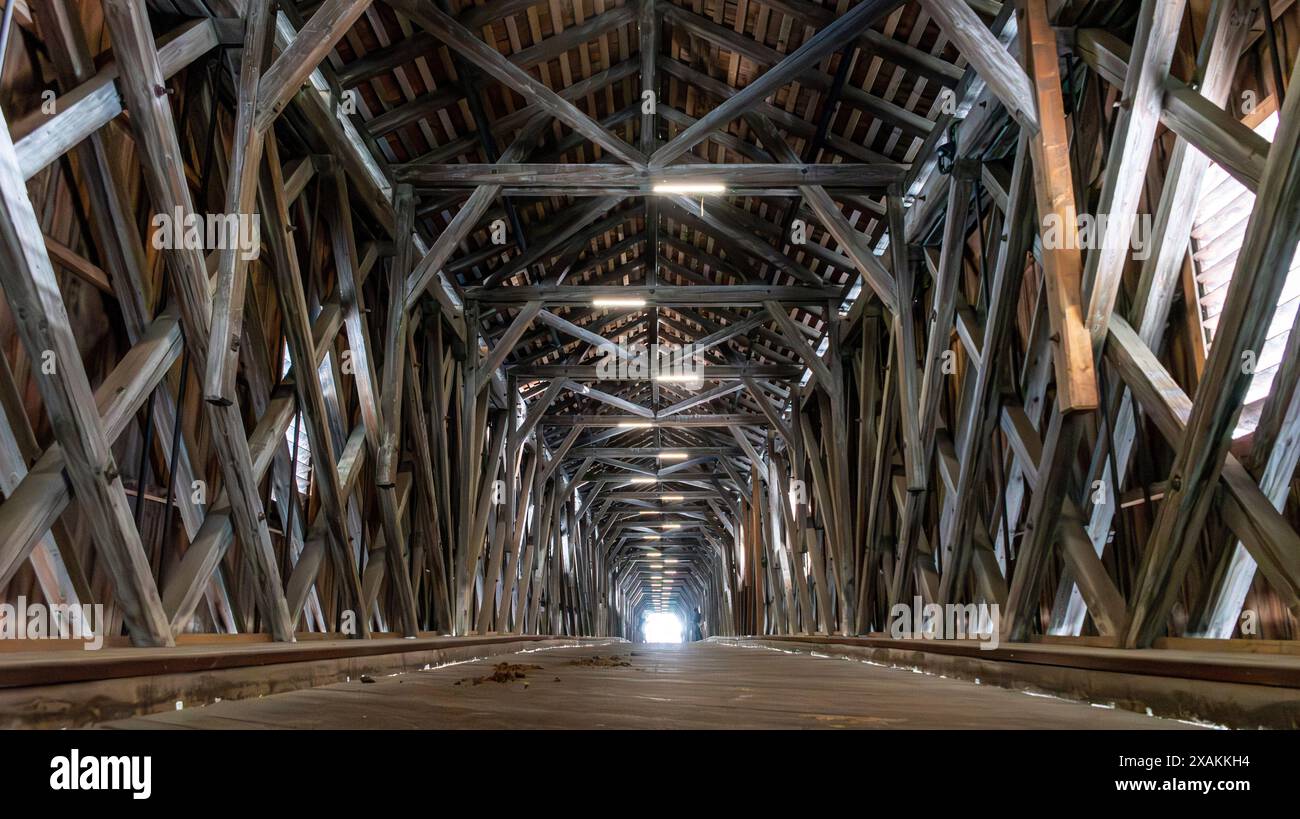 Lo storico ponte sul Reno tra la Svizzera e il Liechtenstein Foto Stock