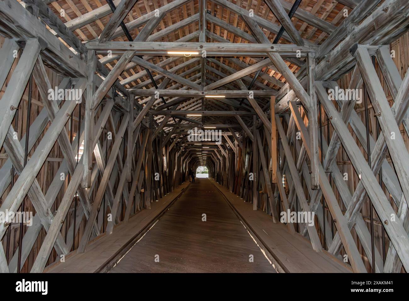 Lo storico ponte sul Reno tra la Svizzera e il Liechtenstein Foto Stock