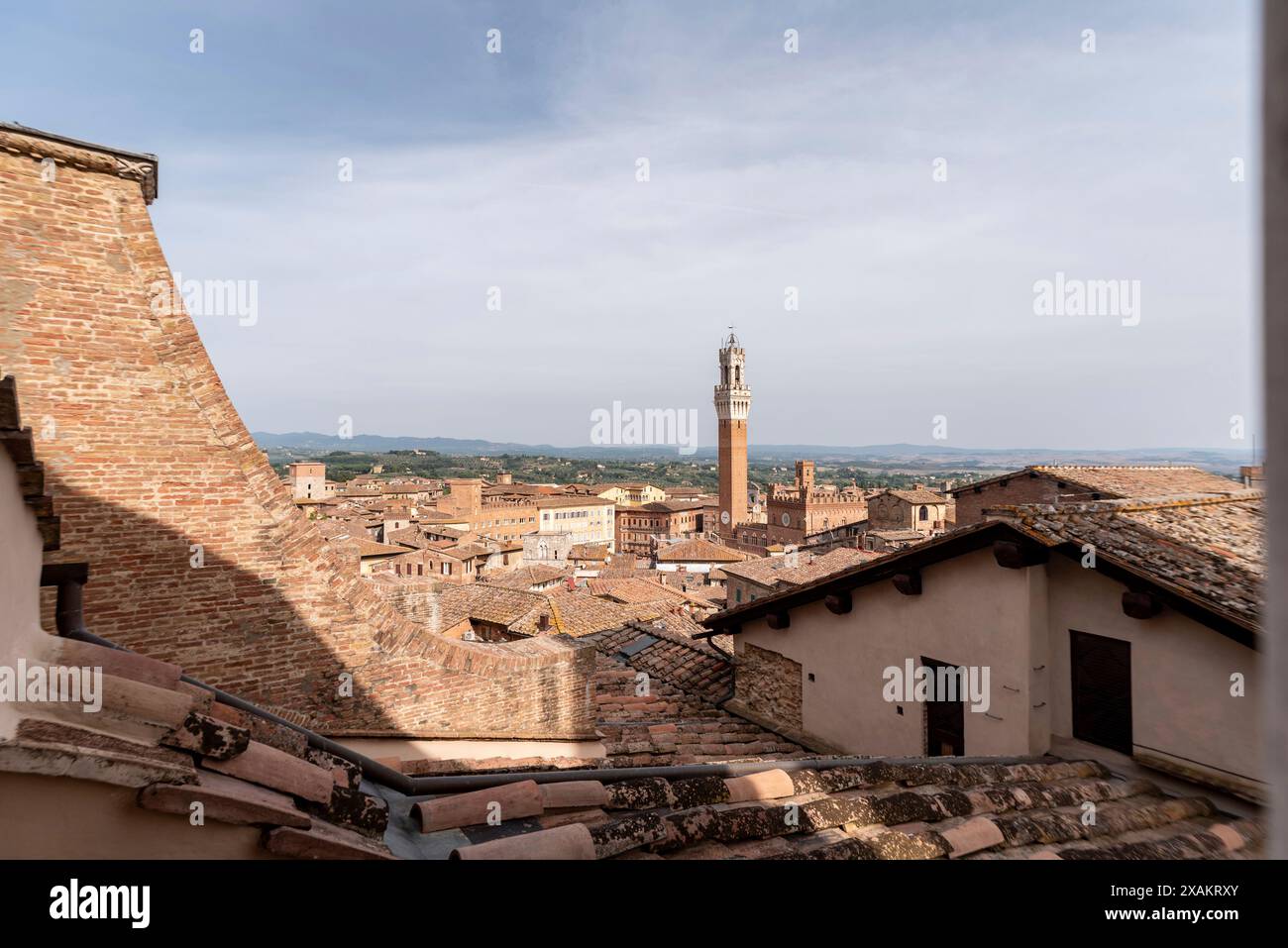 Vista sui tetti di Siena verso la Torre Magna, vista dal tetto della cattedrale di Siena, Italia Foto Stock