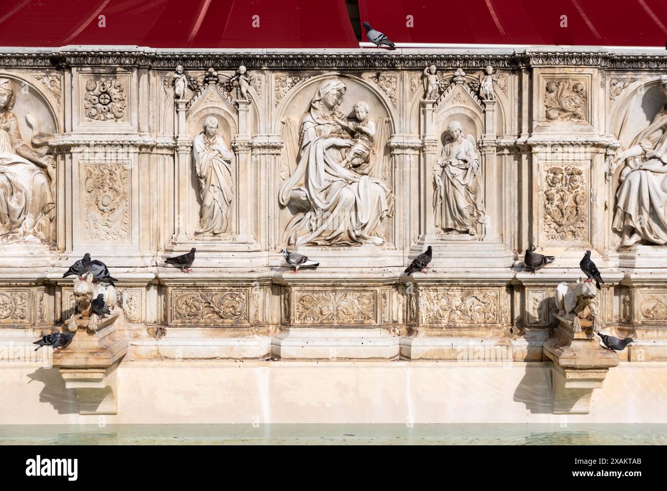 Colombe sedute sulla Fontana di Gaia in Piazza del campo a Siena, Italia Foto Stock