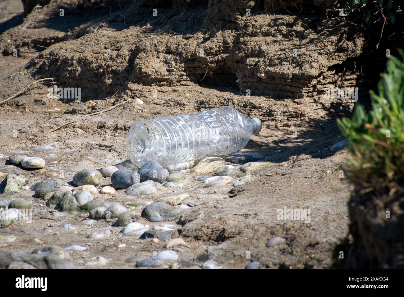 Bottiglia d'acqua vuota di plastica gettata in natura Foto Stock