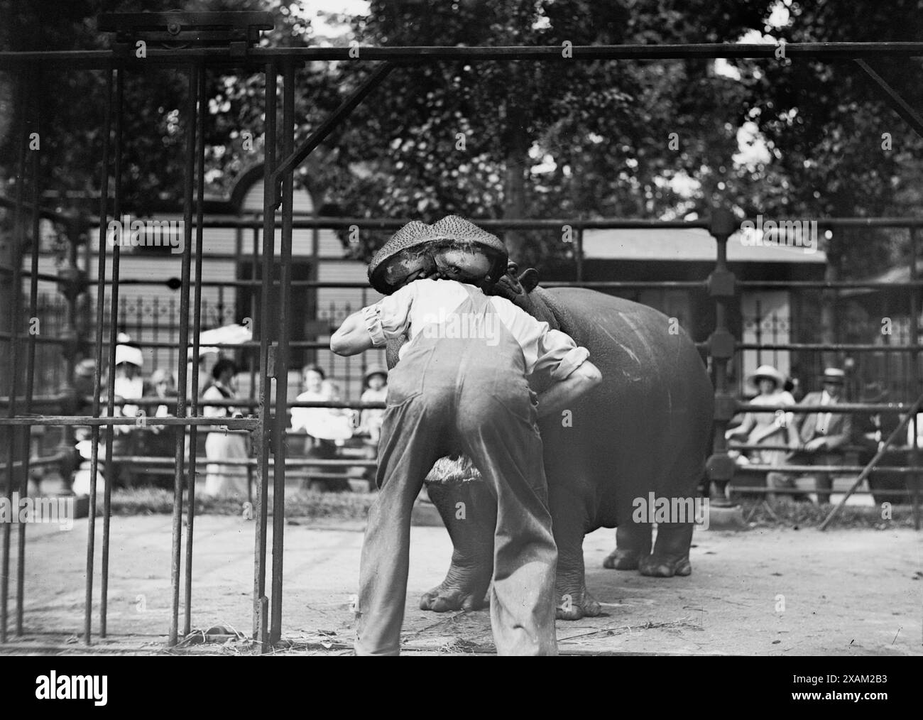 Central Park - uomo con testa in bocca all'ippopotamo, tra c1910 e c1915. Foto Stock