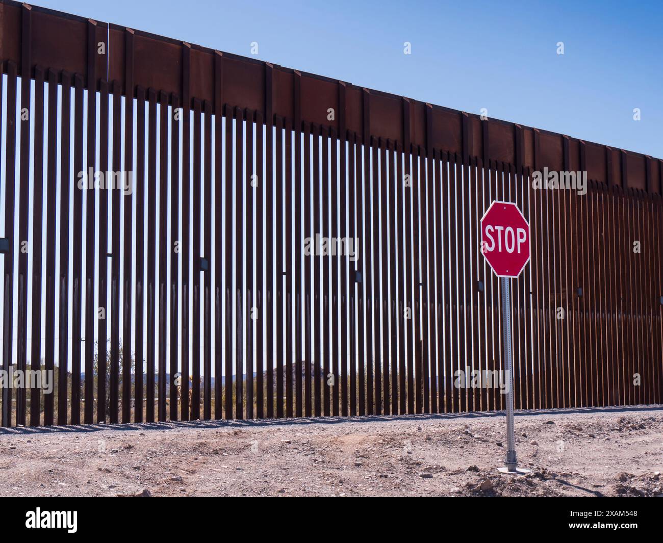 'The Wall', South Puerto Blanco Drive, Organ Pipe Cactus National Monument, Arizona. Foto Stock