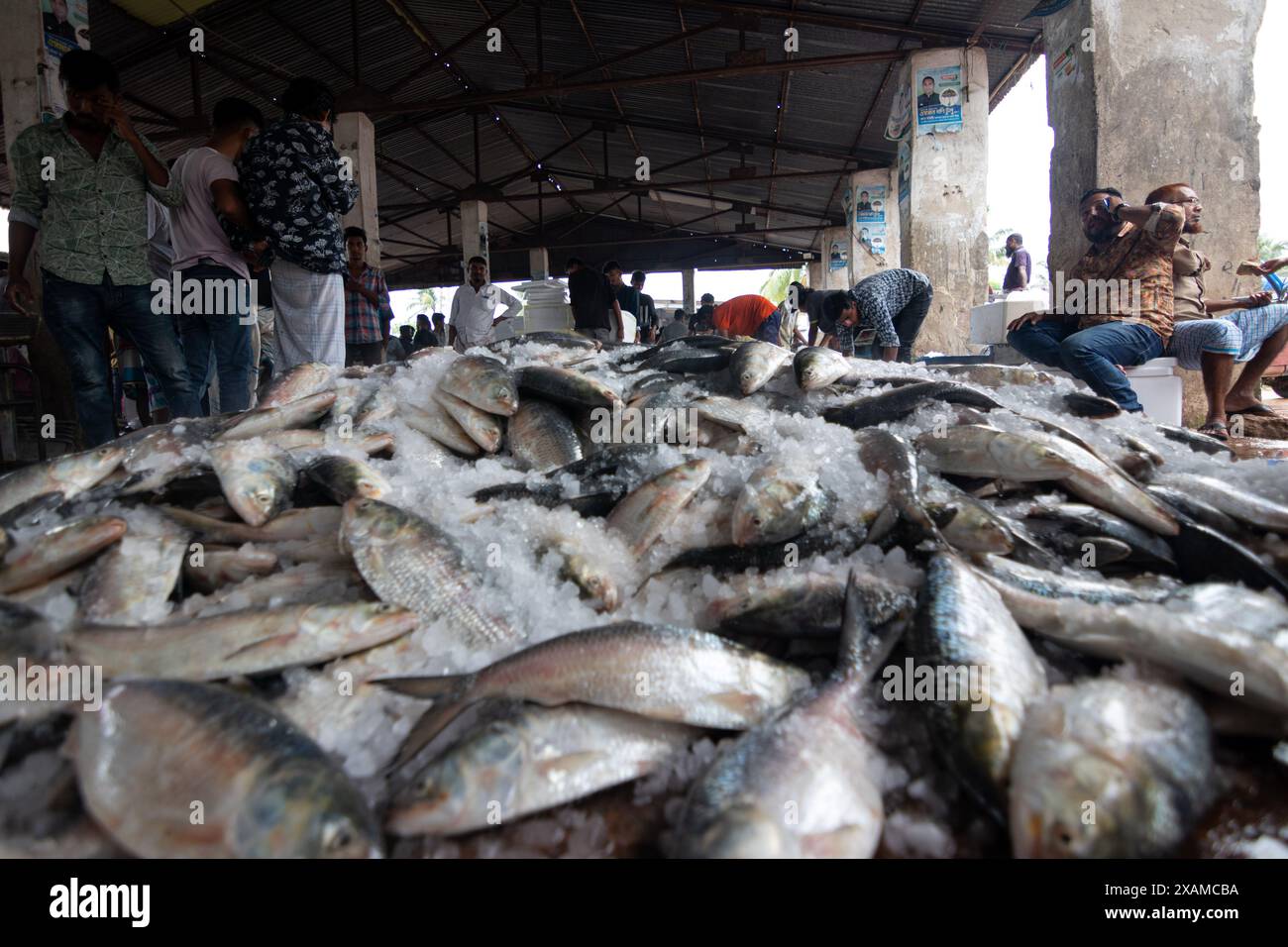 7 giugno 2024, Cox's Bazar, Chittagong, Bangladesh: I pescatori scaricano diversi tipi di pesci dalle barche a Fishery Ghat, Cox's Bazar, Bangladesh. Le barche vanno in mare ogni mezzanotte per pescare. Al mattino, il ghat è vivo di attività, pieno di attività fresca della giornata pronta per la distribuzione. Il Fishery Ghat, il più grande mercato ittico del bazar di cox, è uno dei principali hub ''Hilsa'' del paese. Per i pescatori, i venditori e i mezzi di sussistenza legati al pesce, Fishery Ghat è un centro di felicità e speranza. Quando questo posto ostacola abbondanti provviste, la felicità irradia dai volti della sbirciatina Foto Stock