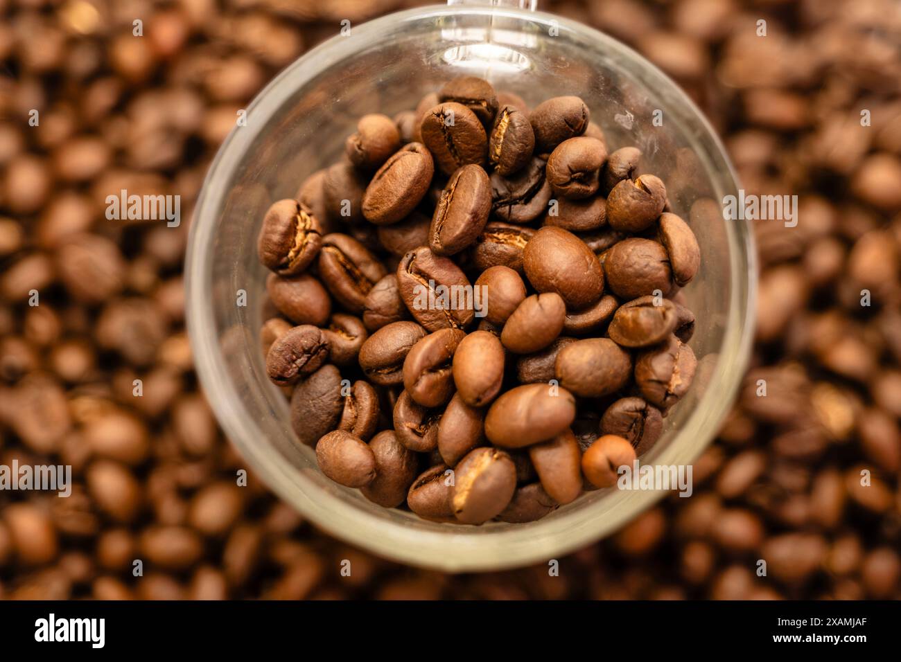 Una tazza di caffè in vetro cosparge di chicchi di caffè appena tostati, creando una scena invitante per gli amanti del caffè Foto Stock