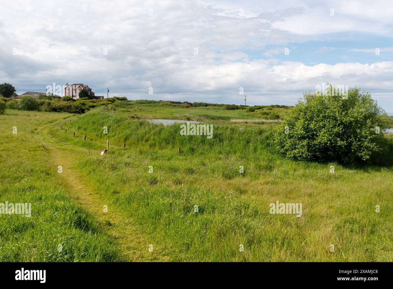 Riserva naturale delle zone umide a Thornwick Pools, East Riding of Yorkshire, Inghilterra, Regno Unito Foto Stock
