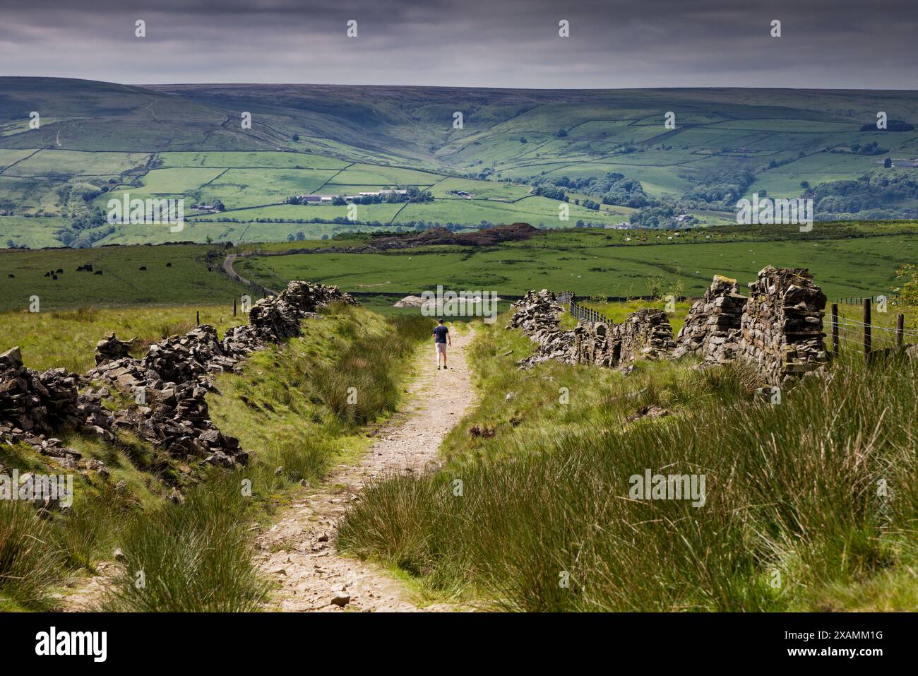 Camminatore solitario nei West Pennines, sopra Edenfield. Foto Stock