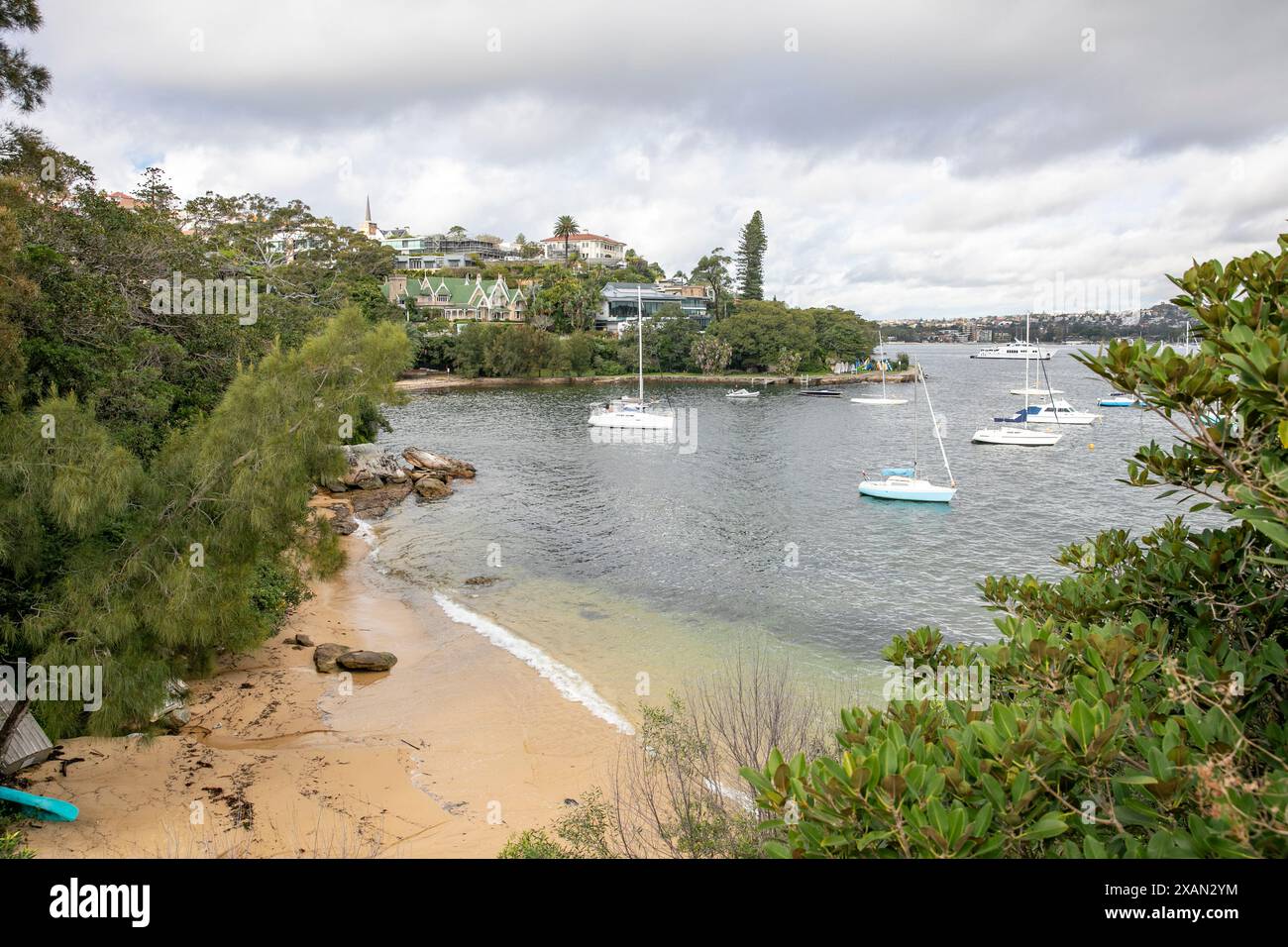 Spiaggia di Tingara a Vaucluse, sobborghi orientali di Sydney, piccola spiaggia isolata sul porto, NSW, Australia Foto Stock