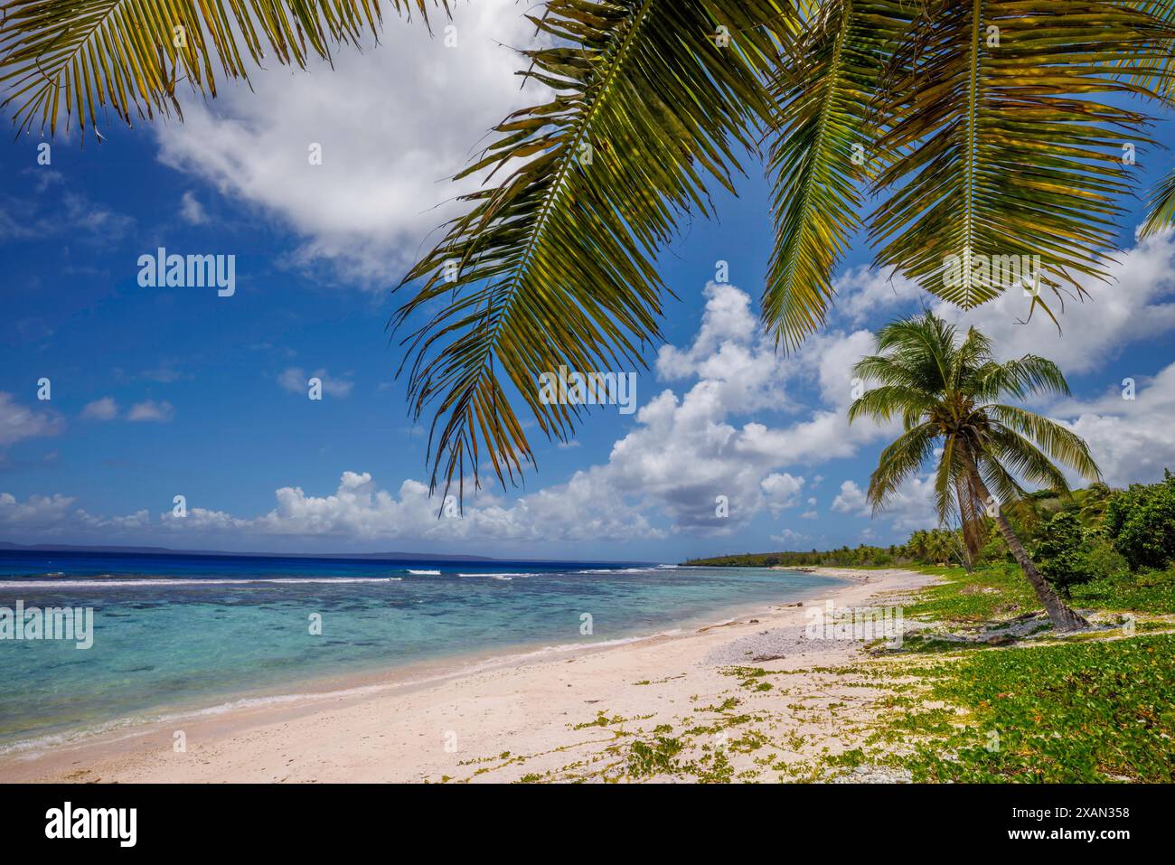 Vista panoramica sulla costa con palme a Obyan Beach, Saipan, Isole Marianne Settentrionali. L'isola di Tinian può essere vista all'orizzonte. Foto Stock