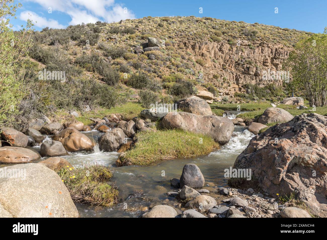 Un torrente roccioso scorre attraverso un'area erbosa Foto Stock
