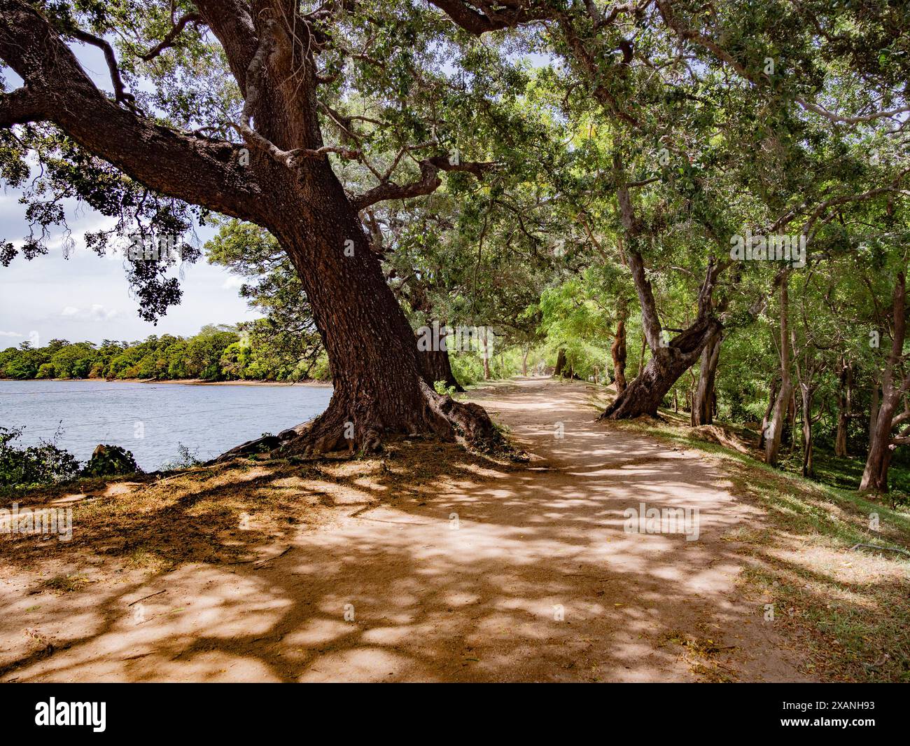 Tranquillo sentiero rurale vicino al lago in Sri Lanka Foto Stock