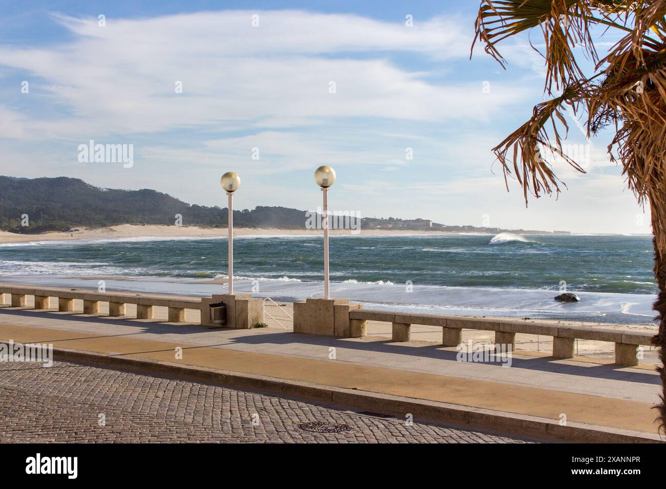 Terrapieno aereo con lanterna stradale e palma. Litorale con onde da surf, Portogallo. Costa dell'Oceano Atlantico senza gente. Foto Stock