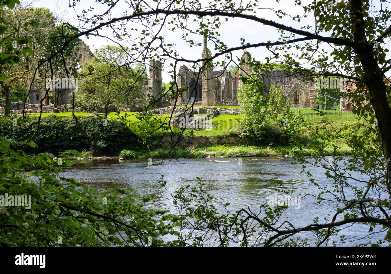 Abbazia di Finchale tra gli alberi Foto Stock