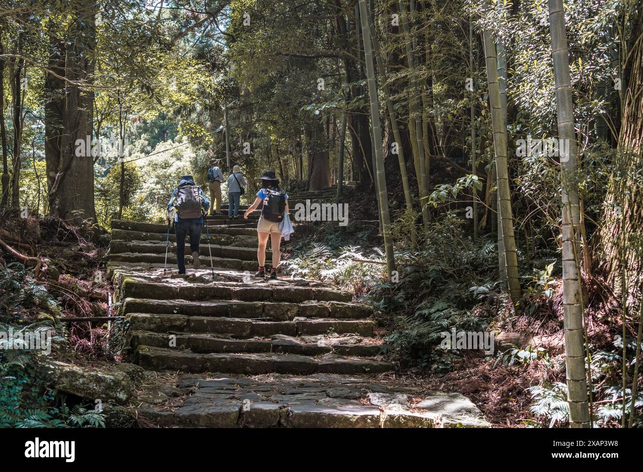 Vista posteriore con un gruppo di escursionisti sulla Kumano Kodo - percorso dei pellegrini Nakahechi Daimon-saka, in Giappone Foto Stock