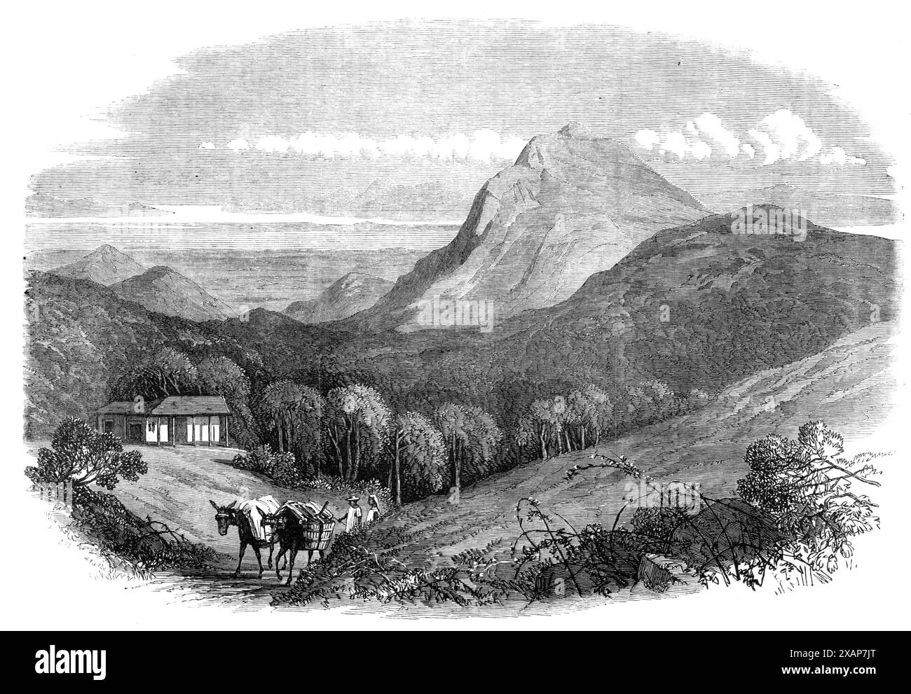 Vista della baia di Rio de Janeiro, dalle alture dell'Imperatore, vicino a Petropolis, 1868. Petr&#xf3;polis ("città di Pietro"), nota anche come città imperiale, è una municipalità nello stato di Rio de Janeiro nella regione sud-orientale del Brasile. La città prende il nome da Pietro II, l'ultimo imperatore del Brasile. Fu la residenza estiva degli imperatori e degli aristocratici brasiliani nel XIX secolo, e fu la capitale ufficiale dello stato di Rio de Janeiro durante la prima Repubblica brasiliana, tra il 1894 e il 1902. Da "Illustrated London News", 1868. Foto Stock