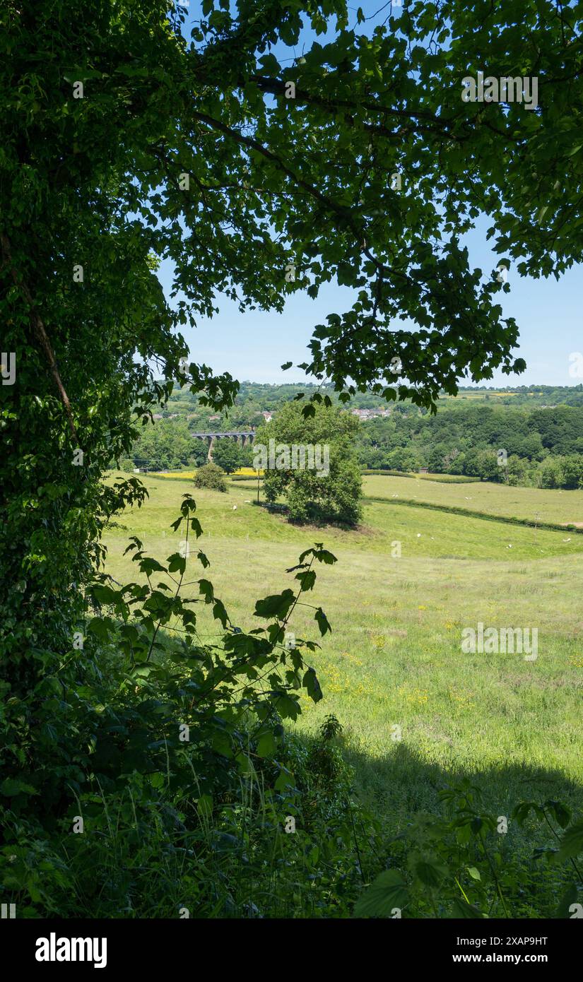 L'acquedotto Pontcysyllte sul canale Llangollen in Galles. Foto Stock