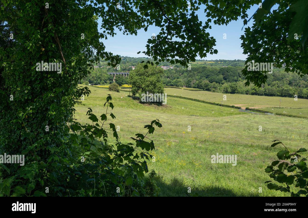 L'acquedotto Pontcysyllte sul canale Llangollen in Galles. Foto Stock
