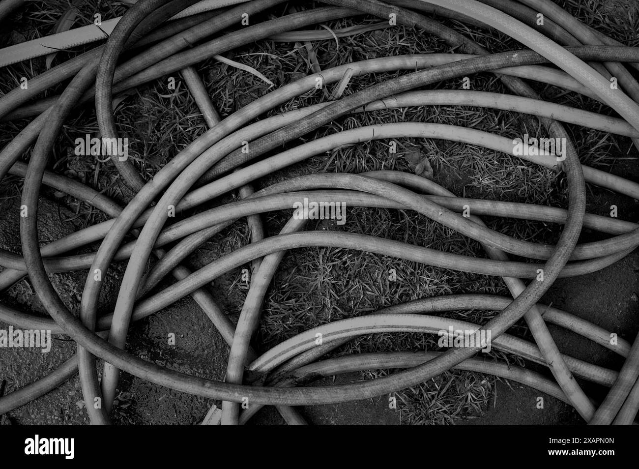 Immagini artistiche in bianco e nero Foto Stock