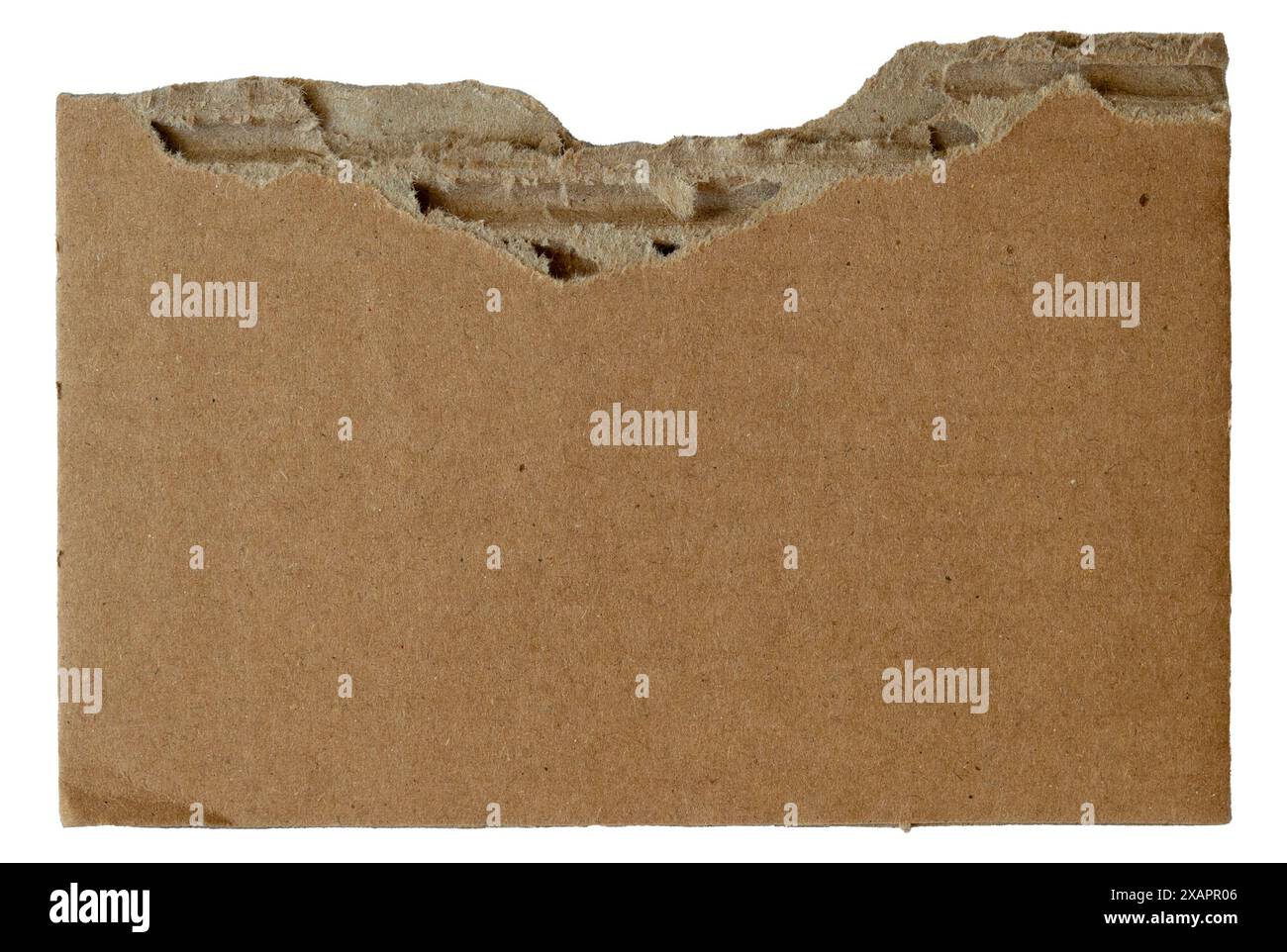 Carta di cartone strappata e strappata isolata su sfondo bianco. Immagine ravvicinata. Foto Stock