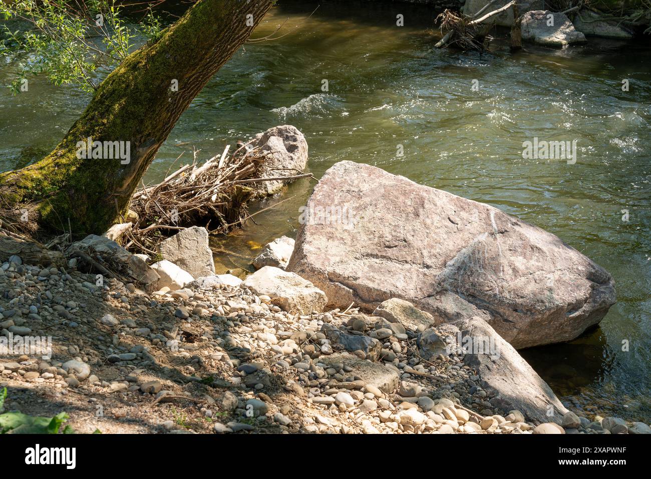 Fiume con grandi massi e alberi a strapiombo. Ombre sull'acqua e sulle pietre. Foto Stock