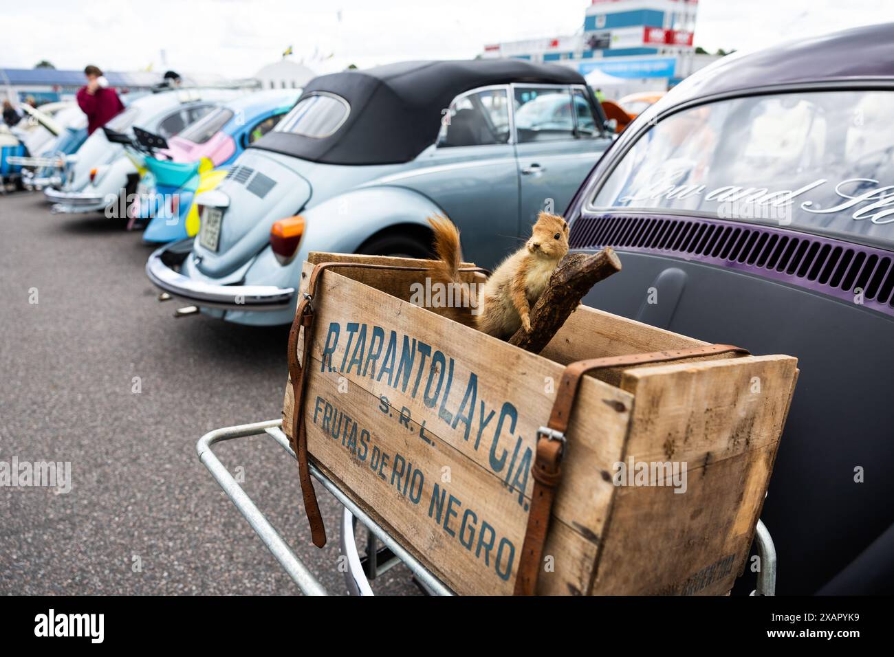 Bug Run al Mantorp Park, Mantorp, Svezia, durante il sabato. Gli appassionati di VW provenienti da tutta la Svezia si riuniscono alla Bug Run, che celebra i 40 anni di quest'anno, qui le persone incontrano coleotteri VW, autobus e altri modelli VW classici. Foto Stock