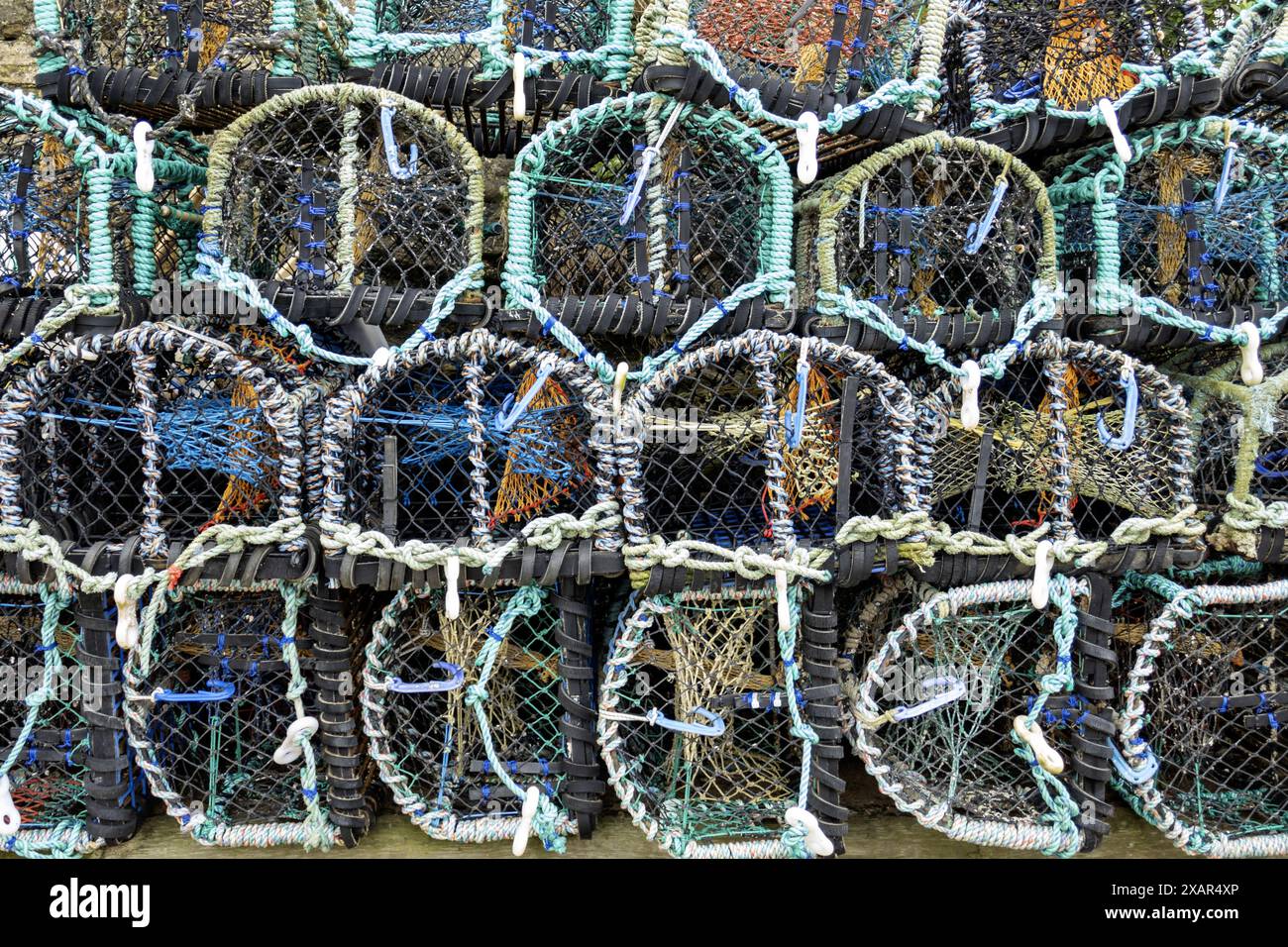 dettaglio ravvicinato di una pila di aragoste sulla banchina presso gli staithes Foto Stock