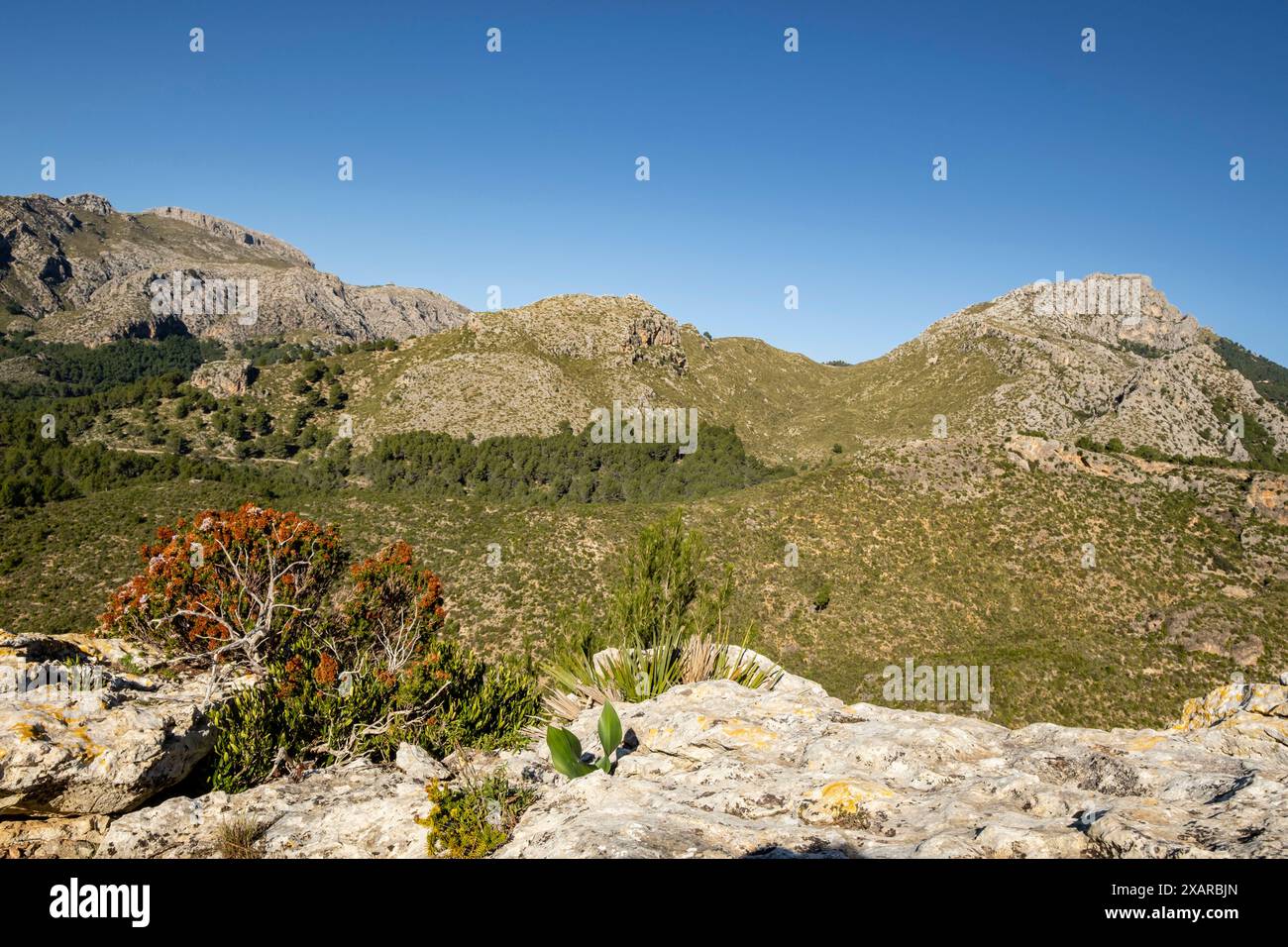 Puig de Galatzó, 1027 metros de altura, Sierra de Tramuntana, Mallorca, Isole Baleari, Spagna. Foto Stock