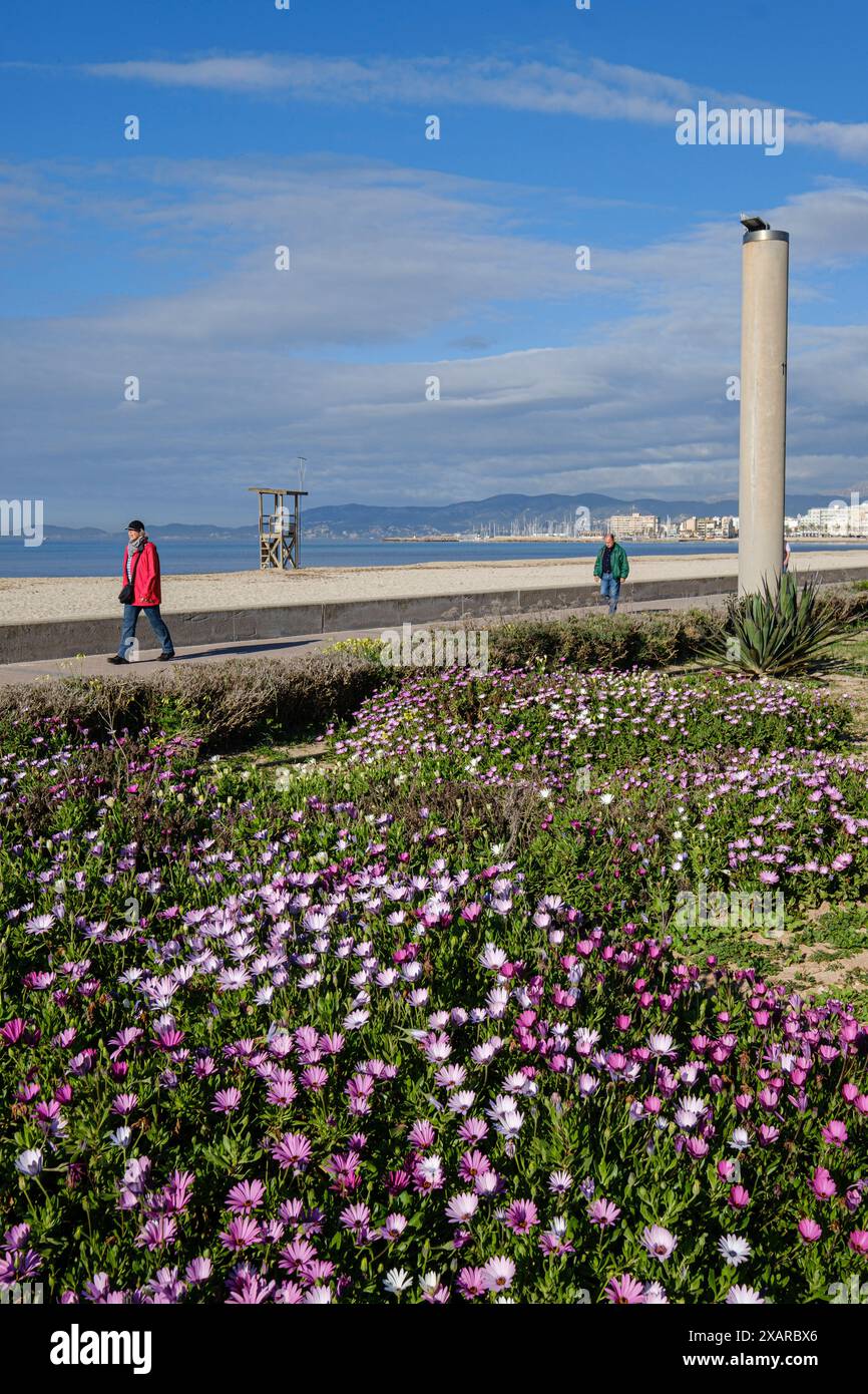Playa de Palma , El Arenal, Maiorca, Isole Baleari, Spagna. Foto Stock