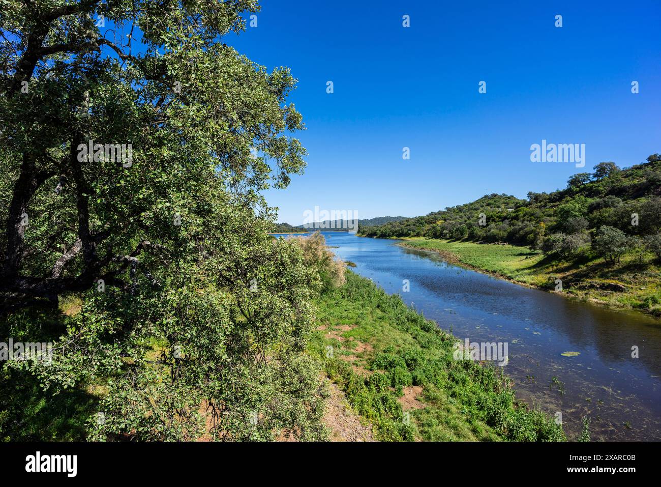 Bacino idrico di Retortillo, Parco naturale della Sierra de Hornachuelos, provincia di Córdoba, Andalusia, Spagna. Foto Stock