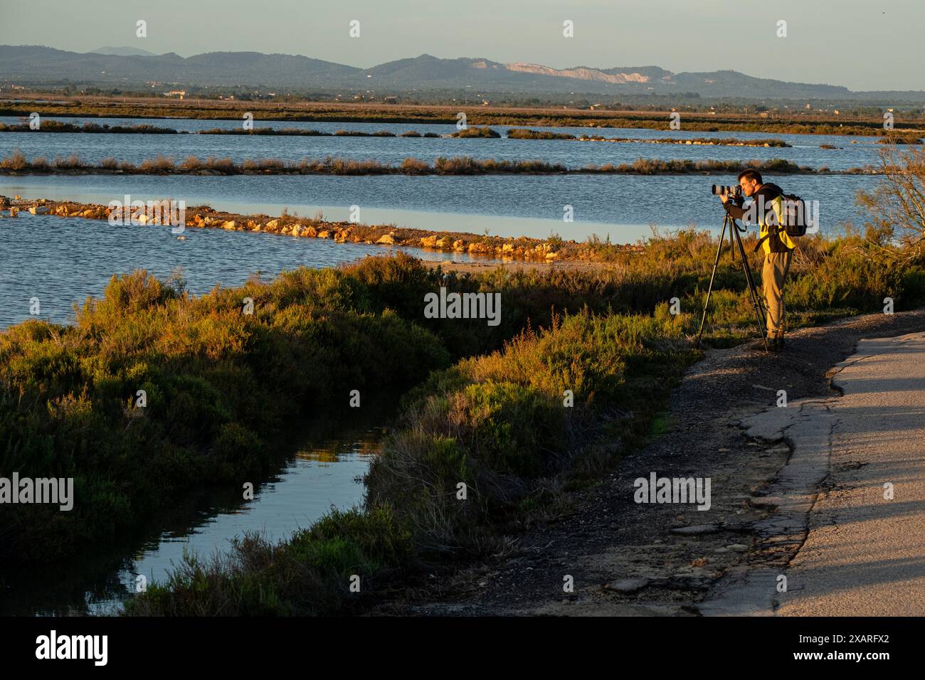 Fotografo, Salobrar de Campos, Parque Natural Marítimo Terrestre es Trenc-Salobrar de Campos, Maiorca, Isole Baleari, Spagna. Foto Stock