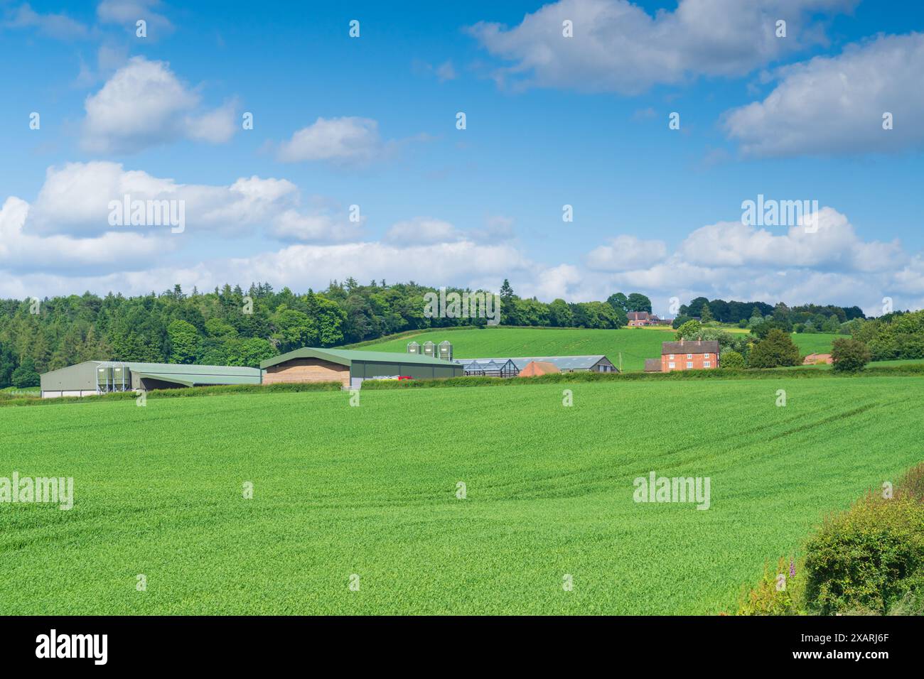 Agriturismo e annessi su terreni agricoli nella campagna inglese in orientamento paesaggistico Foto Stock