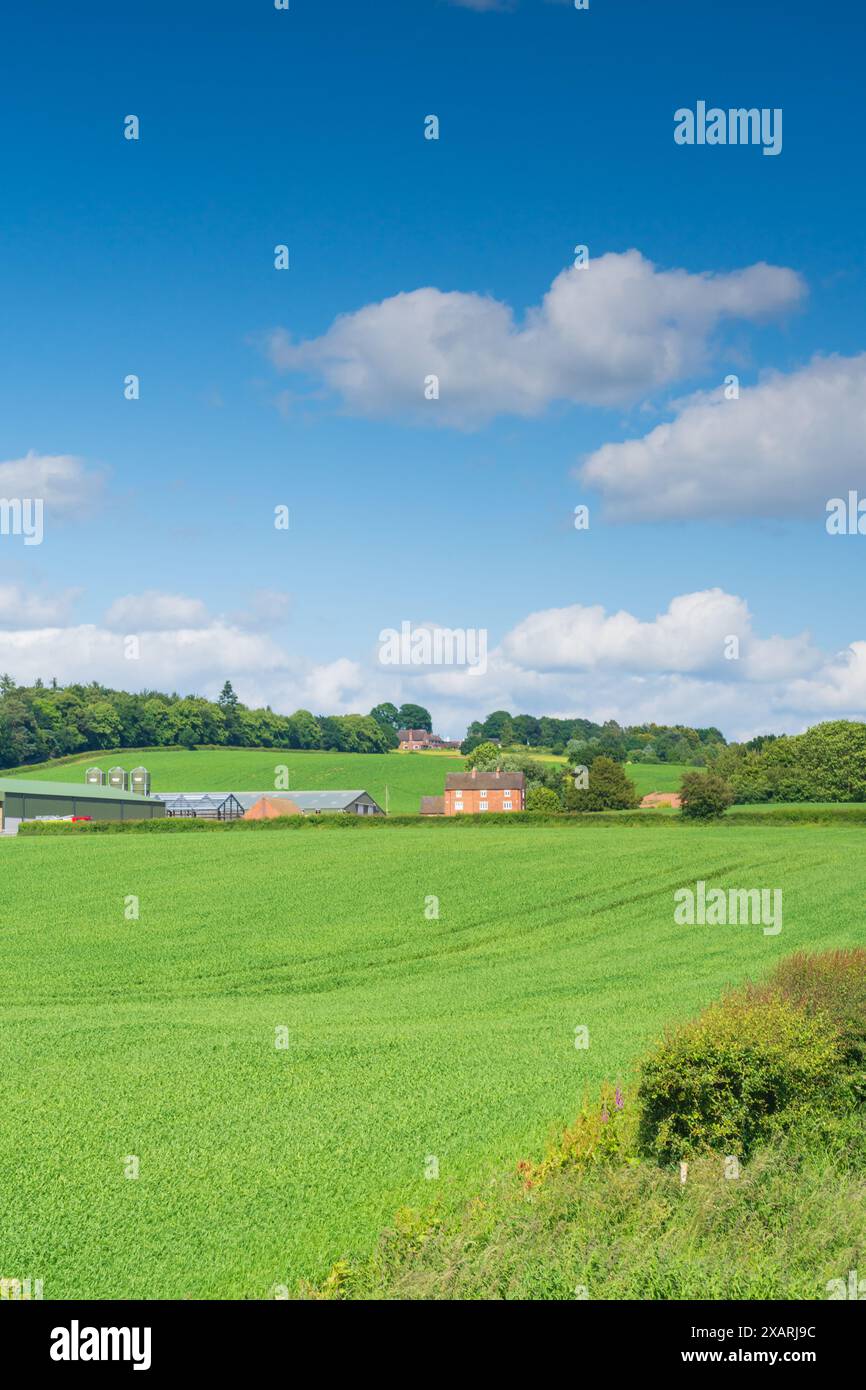 Fattoria e annessi su terreni agricoli nella campagna inglese con orientamento verticale Foto Stock