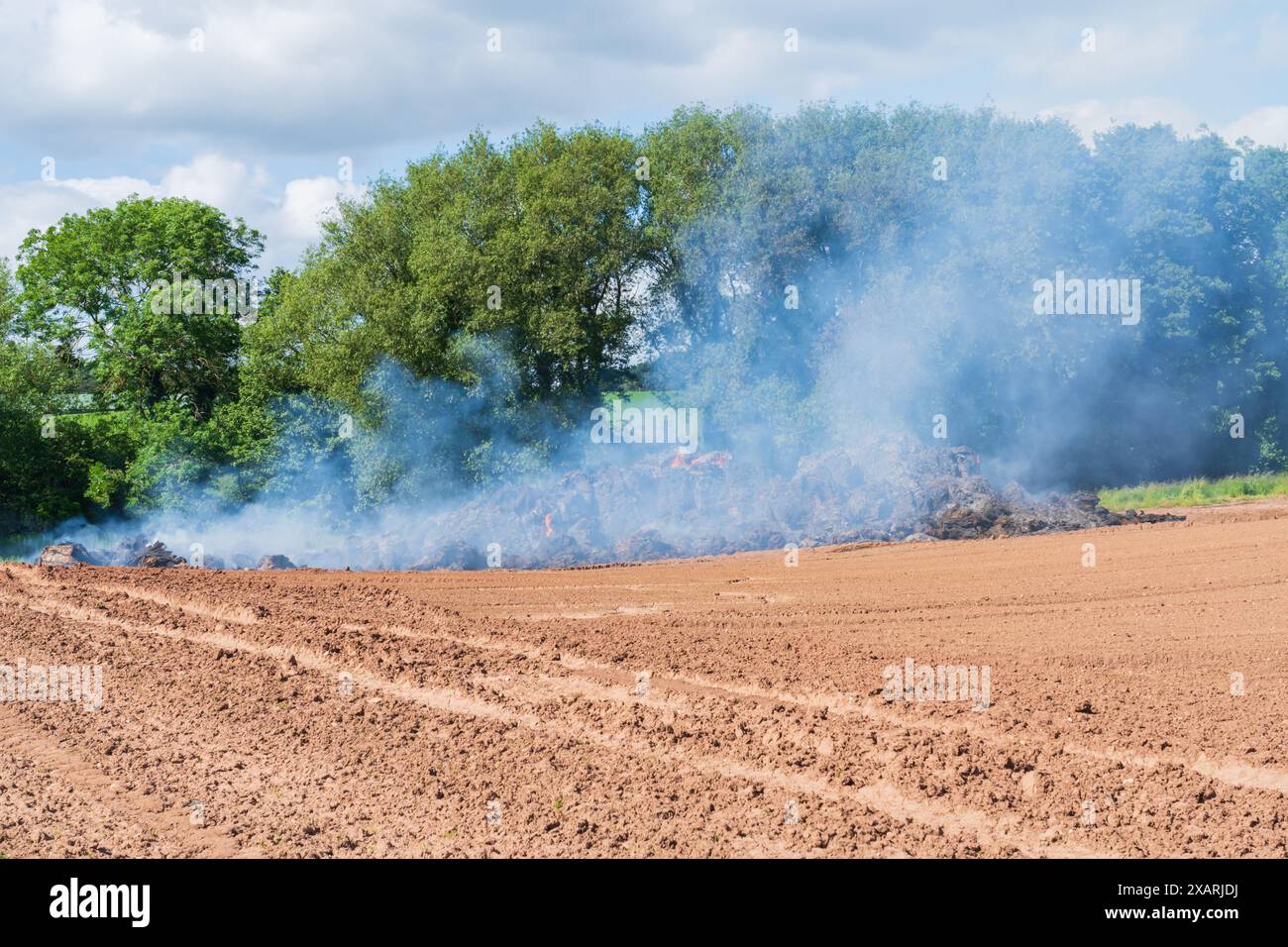 Grande mucchio di letame di maiale in un incendio controllato su terreni agricoli nella campagna inglese Foto Stock